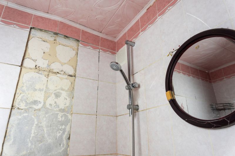 Top Shower Remodeling Companies in Englishtown, NJ